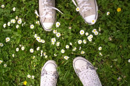 converse